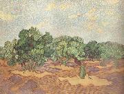 Vincent Van Gogh Olive Grove:Pale Blue Sky (nn04) Sweden oil painting artist